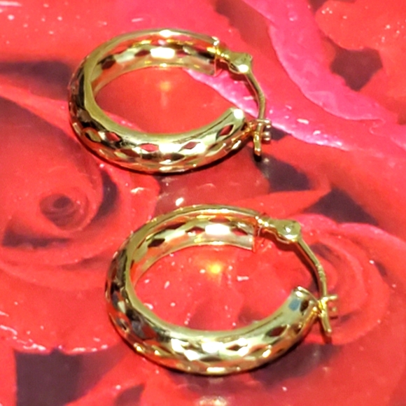14K Gold Hoop Earrings - Picture 1 of 10